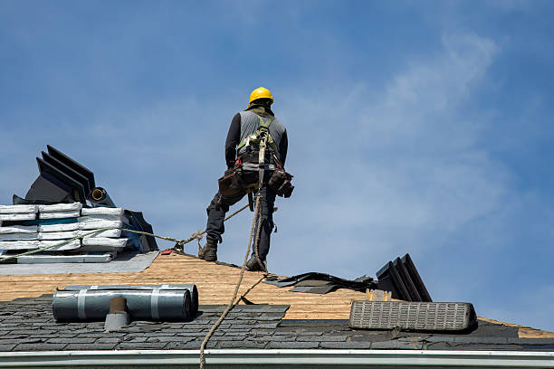 Professional Storm Damage Roof Repair technician working in Venice, IL