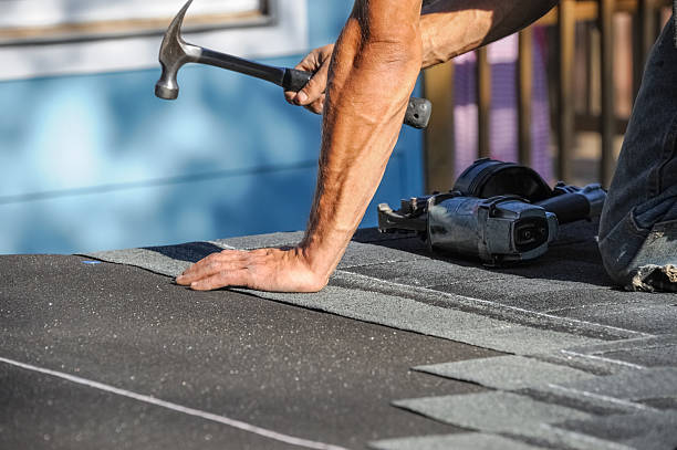Affordable Storm Damage Roof Repair solutions in Venice, IL